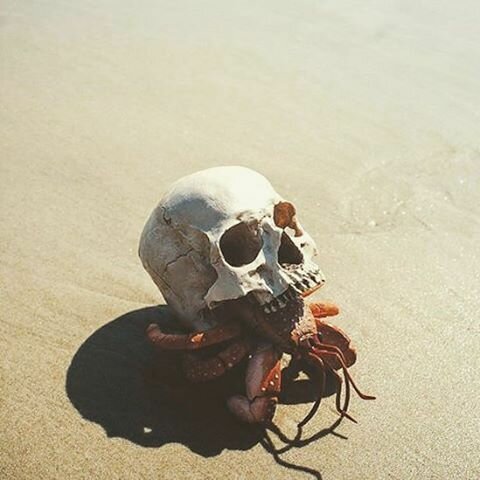 30 страшных кадров, напоминающих о том, как человек издевается над природой (31 фото)