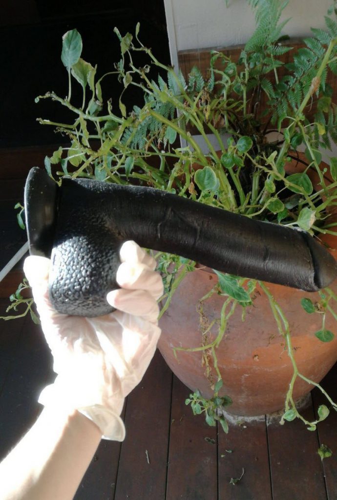 WTF: что тут происходит? (39 фото)