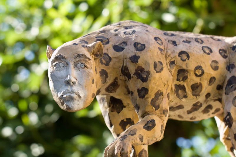 WTF: что тут происходит? (39 фото)