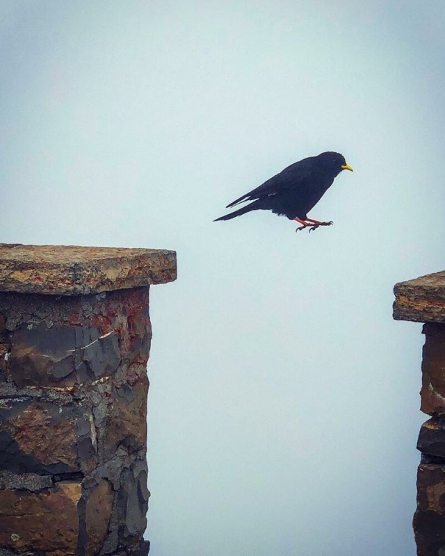 Кадры, которые сняли в самый подходящий момент (22 фото)