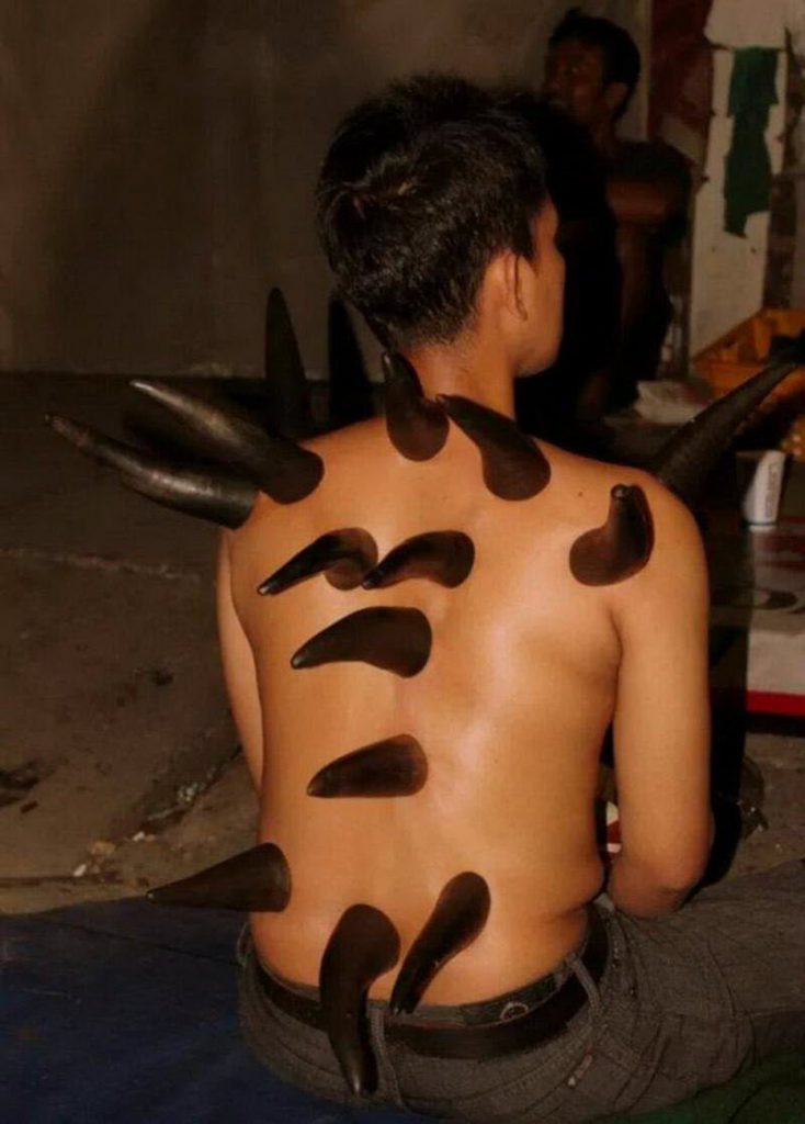 WTF: что тут происходит? (39 фото)