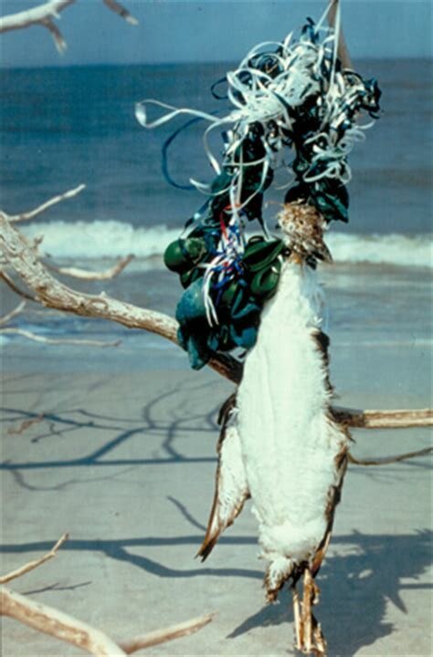 30 страшных кадров, напоминающих о том, как человек издевается над природой (31 фото)