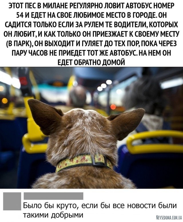 Юмор и шутки из социальных сетей (22 фото)