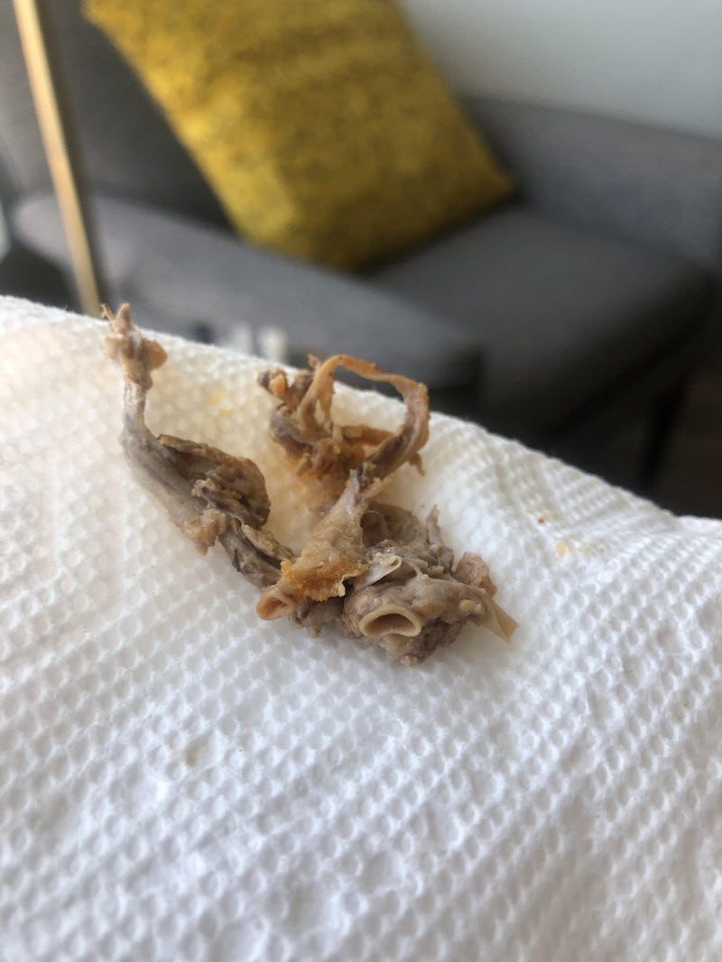 WTF: что тут происходит? (39 фото)