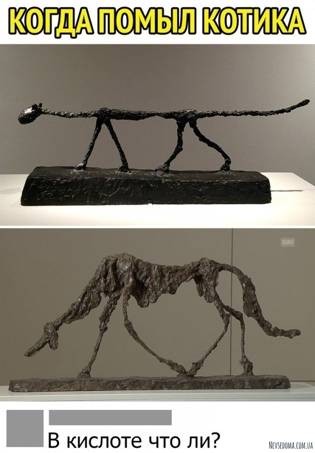 Юмор и шутки из социальных сетей (22 фото)