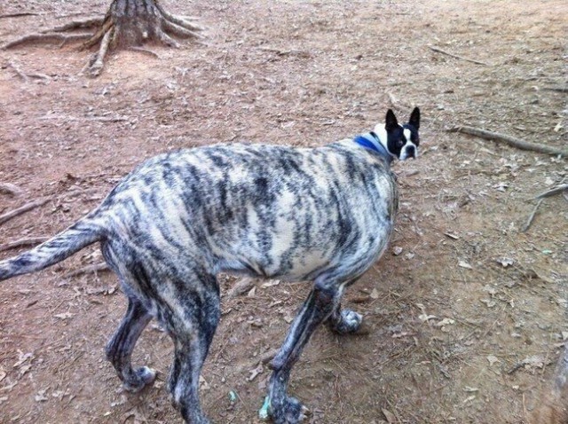 Кадры, которые сняли в самый подходящий момент (22 фото)