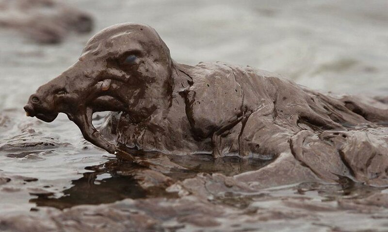 30 страшных кадров, напоминающих о том, как человек издевается над природой (31 фото)