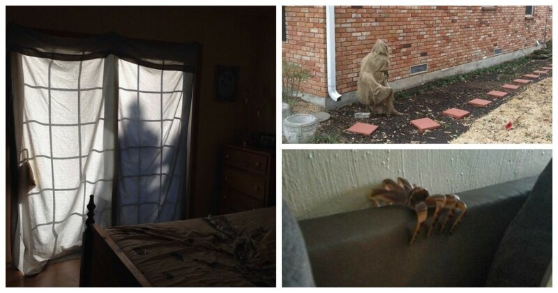 Чуть сердце не остановилось: 22 пугающие оптические иллюзии (23 фото)