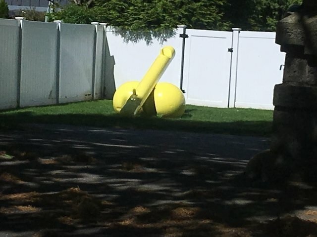 Кадры, которые сняли в самый подходящий момент (22 фото)