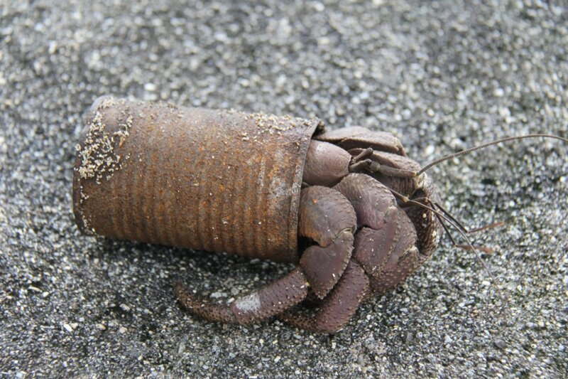 30 страшных кадров, напоминающих о том, как человек издевается над природой (31 фото)