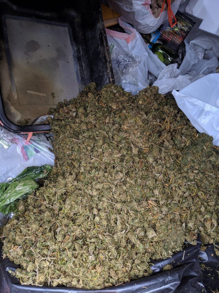 WTF: что тут происходит? (39 фото)