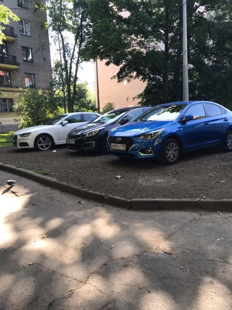 Автомобилисты так обрадовались новой "парковке", что поспешили занять места (5 фото)