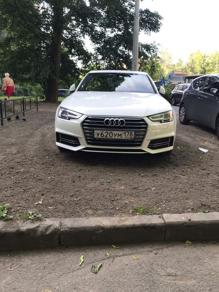 Автомобилисты так обрадовались новой "парковке", что поспешили занять места (5 фото)