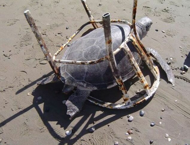 30 страшных кадров, напоминающих о том, как человек издевается над природой (31 фото)