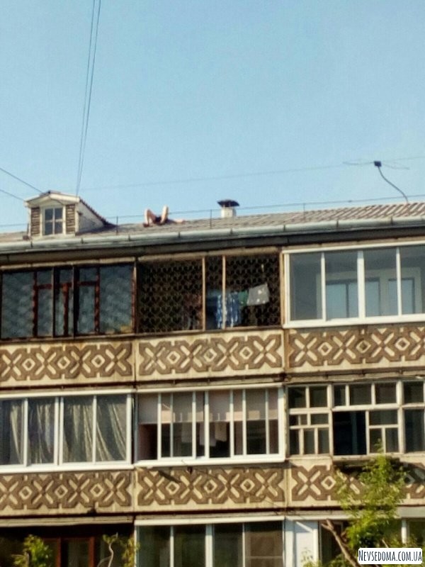 Житель Ангарска выбрал рискованный способ позагорать (5 фото)