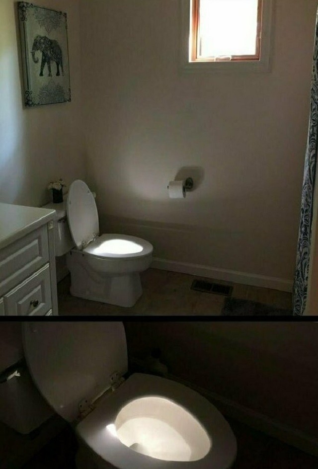 Кадры, которые сняли в самый подходящий момент (22 фото)