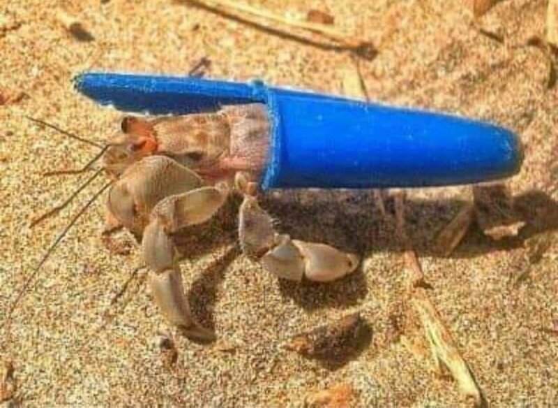 30 страшных кадров, напоминающих о том, как человек издевается над природой (31 фото)