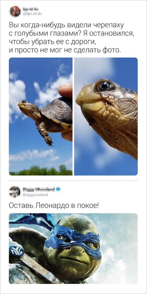 Свежая партия забавных комментариев с просторов Сети (17 скриншотов)