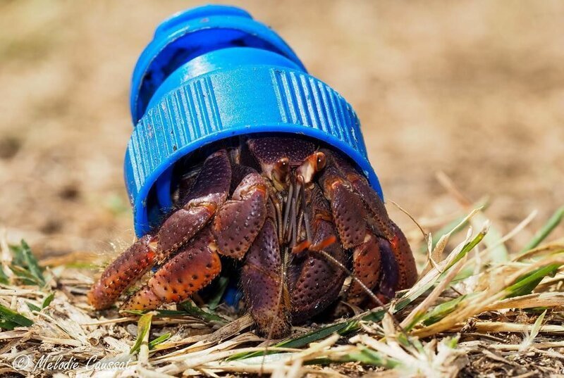 30 страшных кадров, напоминающих о том, как человек издевается над природой (31 фото)