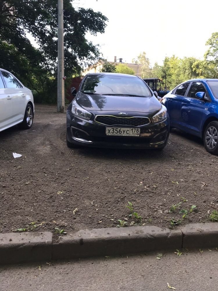 Автомобилисты так обрадовались новой "парковке", что поспешили занять места (5 фото)