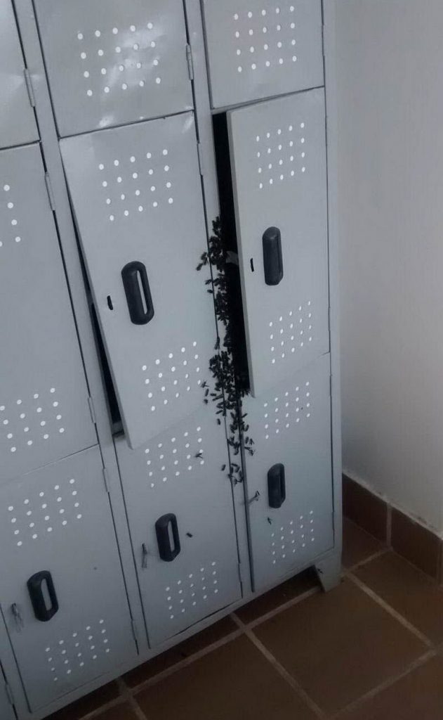 WTF: что тут происходит? (39 фото)