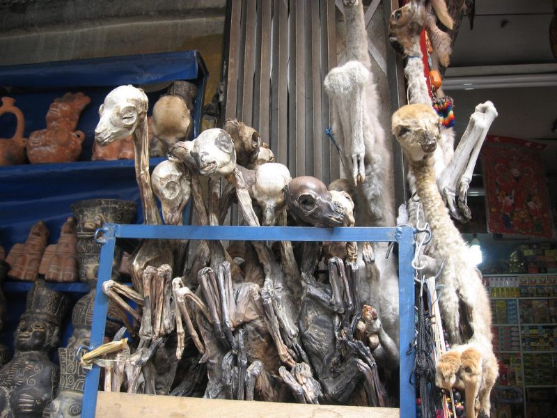 "Рынок ведьм" в кратере потухшего вулкана на высоте 3000 метров (15 фото)