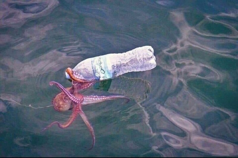 30 страшных кадров, напоминающих о том, как человек издевается над природой (31 фото)