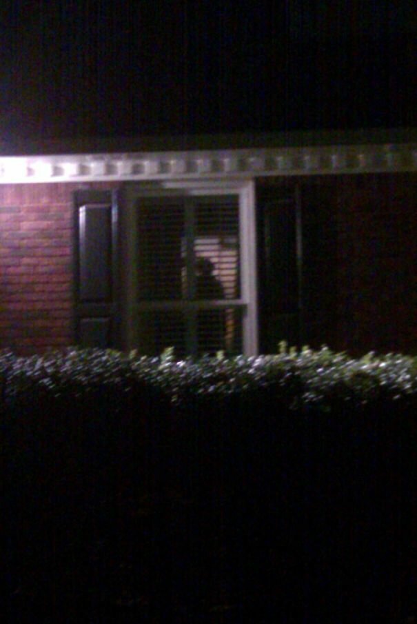 Чуть сердце не остановилось: 22 пугающие оптические иллюзии (23 фото)