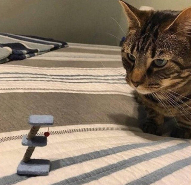 Ложь повсюду (25 фото)