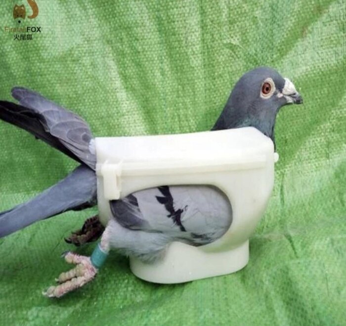 Самые упоротые новинки из Китая, от вида которых появляется легкое недоумение (21 фото)