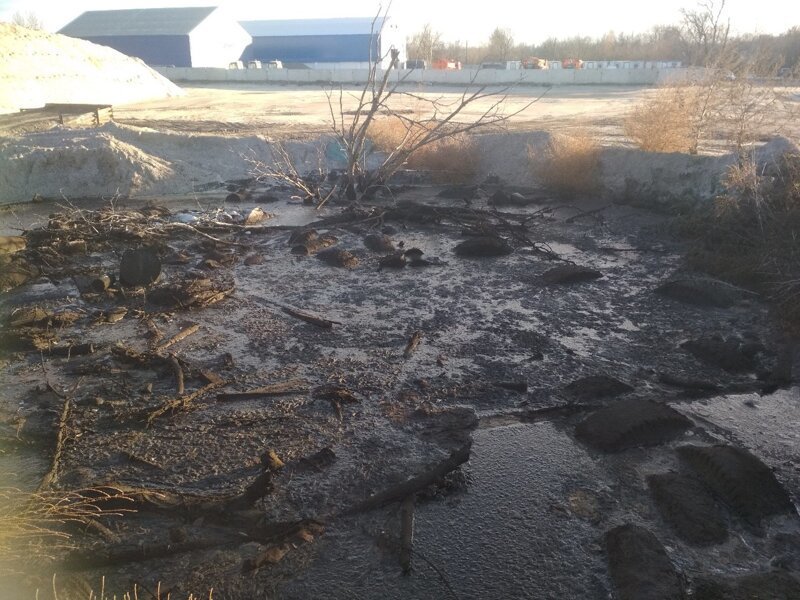 Врачи отчистили и спасли провалившегося в битум жителя Павловска (8 фото) Врачи отчистили и спасли провалившегося в битум жителя Павловска (8 фото)