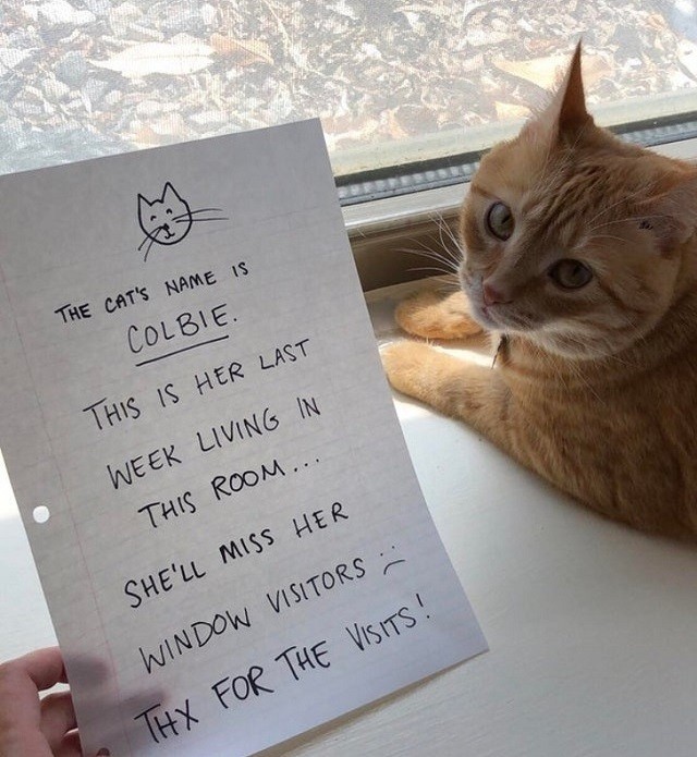 Пост о вежливых и заботливых людях (17 фото)