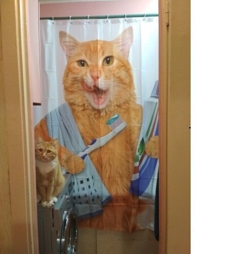 Самые упоротые новинки из Китая, от вида которых появляется легкое недоумение (21 фото)