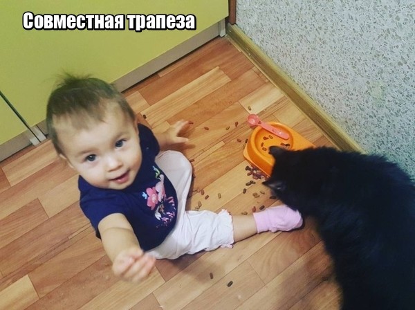 Дети и пять минут тишины (19 фото)