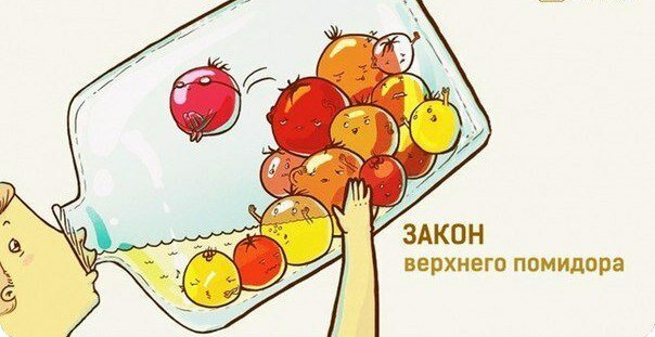 30 ироничных законов жизни (1 фото) 30 ироничных законов жизни (1 фото)