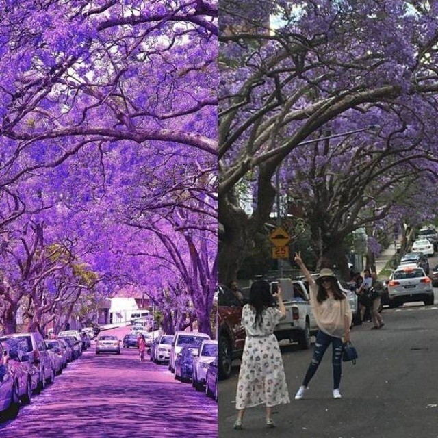 Ложь повсюду (25 фото)