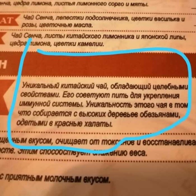 Смешные меню в кафе и ресторанах (20 фото)
