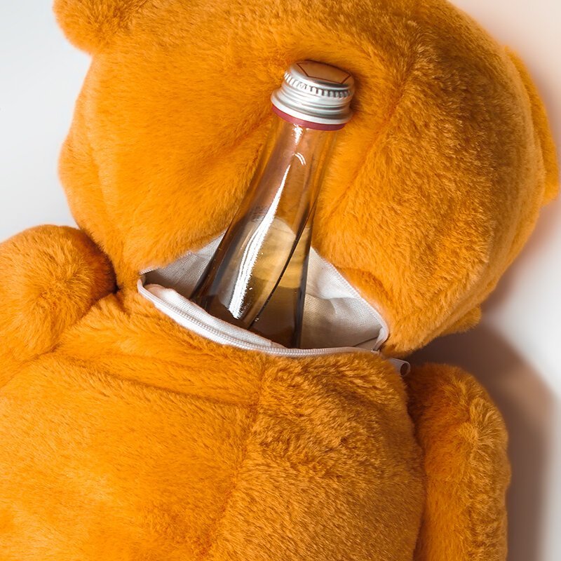 Чтобы не спалили: прячем алкоголь по-студенчески (27 фото)