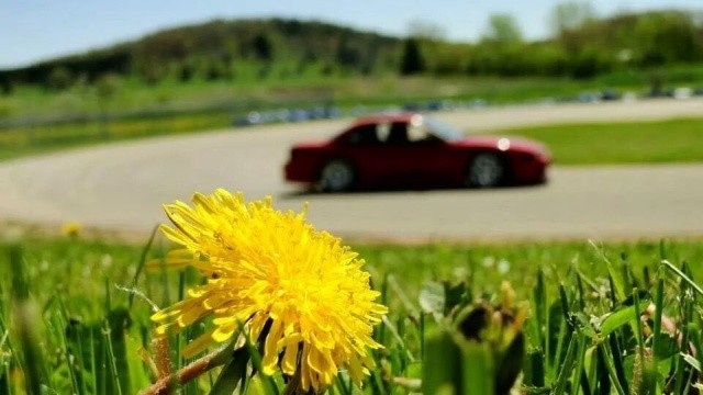 Глупости вторых половинок (20 фото) Глупости вторых половинок (20 фото)