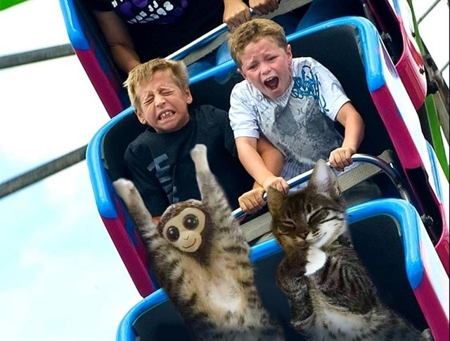 Кот и игрушечная обезьянка запустили новый масштабный фотошоп-батл в соцсетях (12 фото)