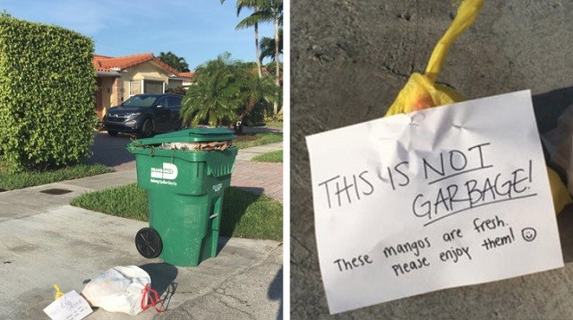 Пост о вежливых и заботливых людях (17 фото)