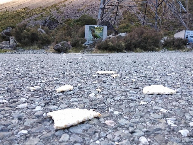 Именно из-за таких людей во многих странах недолюбливают туристов (23 фото)