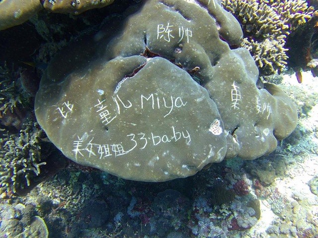 Именно из-за таких людей во многих странах недолюбливают туристов (23 фото)