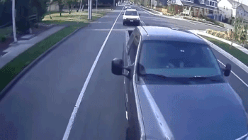 Кто выдал этим людям водительские права? (25 фото)