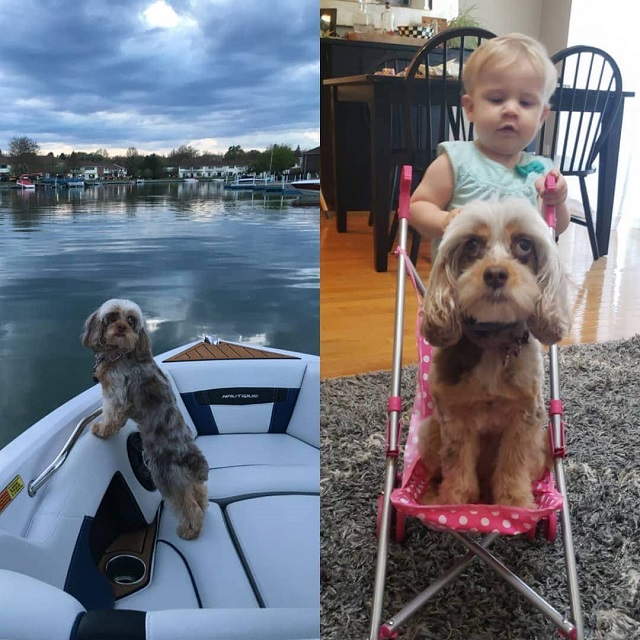 Подборка фото из категории "До рождения ребенка и после" (20 фото)