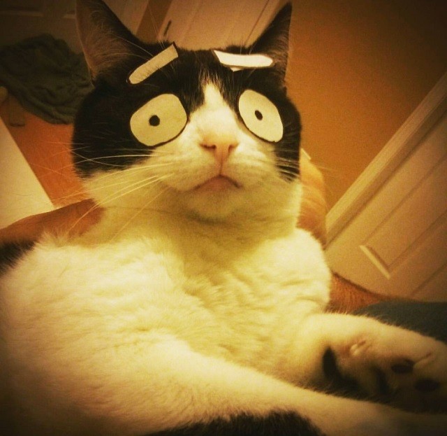 Семейные розыгрыши и шутки (19 фото)