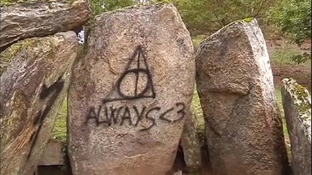 Именно из-за таких людей во многих странах недолюбливают туристов (23 фото)