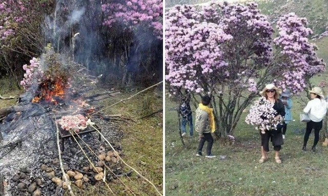 Именно из-за таких людей во многих странах недолюбливают туристов (23 фото)