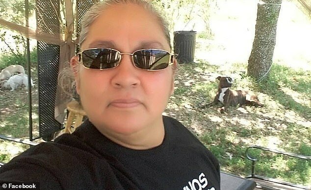 Гигантский паук поймал в свои сети летучую мышь (7 фото) Гигантский паук поймал в свои сети летучую мышь (7 фото)