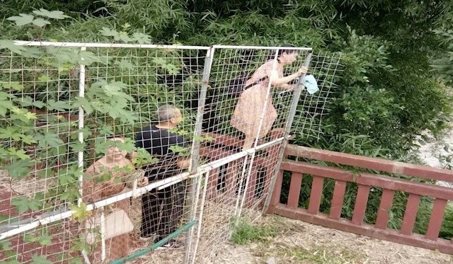 Именно из-за таких людей во многих странах недолюбливают туристов (23 фото)